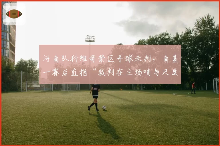 河南队科维奇禁区手球未判，南基一赛后直指“裁判在主场哨与尺度间摇摆”