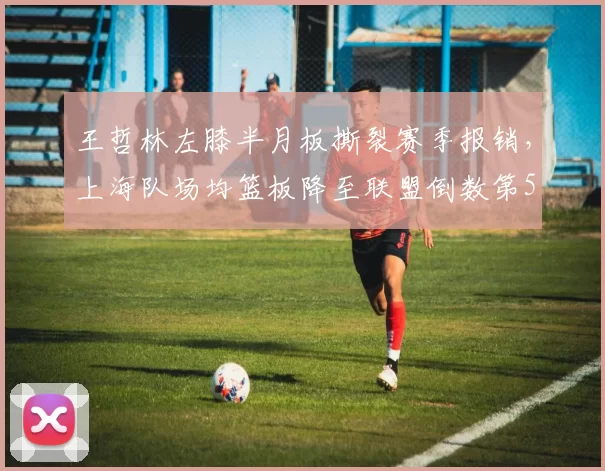 王哲林左膝半月板撕裂赛季报销，上海队场均篮板降至联盟倒数第5