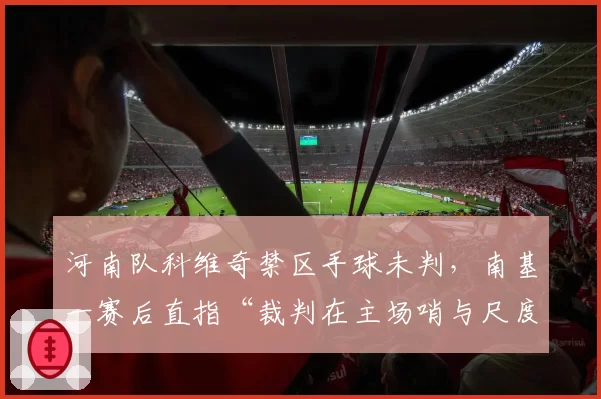 河南队科维奇禁区手球未判，南基一赛后直指“裁判在主场哨与尺度间摇摆”