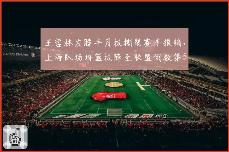 王哲林左膝半月板撕裂赛季报销，上海队场均篮板降至联盟倒数第5